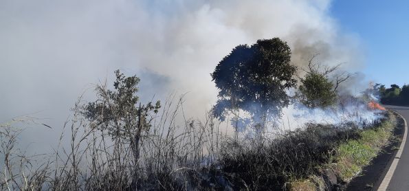 Fumaça e Queimada