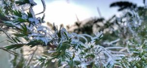 Região Serrana do Rio de Janeiro fez mais frio que o Alaska com 5 graus negativos