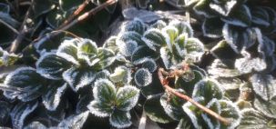 O frio continua aqui em Alto Paraguaçu Itaiopolis -SC