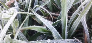 Friooo em Alto Paraguaçu-itaiópolis-SC. 22-08-2020.