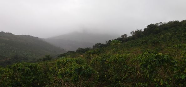 CHUVINHA NA SERRA DO SINCORA - BA