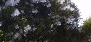 Região Serrana do Rio de Janeiro fez mais frio que o Alaska com 5 graus negativos