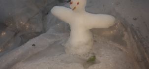 FRIO EXTREMO no Sul abelhas congelando.