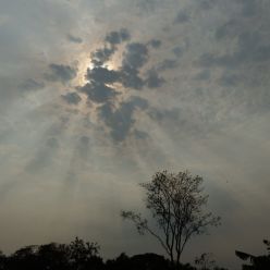 Esperando a chuva para melhorar a qualidade do clima em Ivinhema - MS.