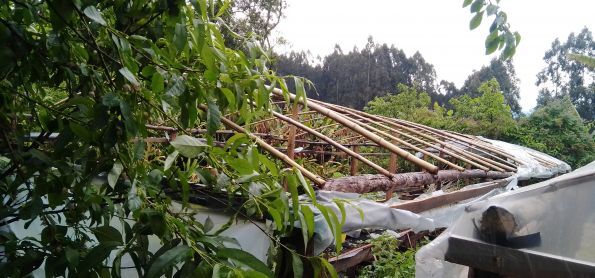 Vendaval destrói estufa agrícola em Itaiópolis-SC 28-09-2020.