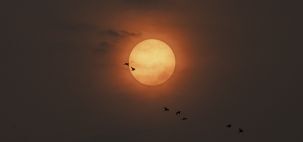 Sol e Fumaça