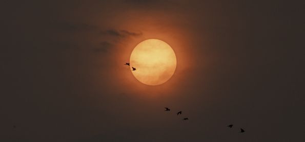 Sol e Fumaça