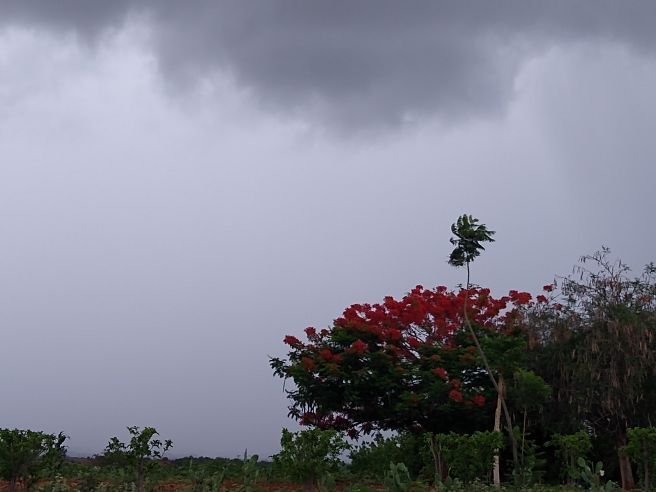 Chuvas em Uibai-BA