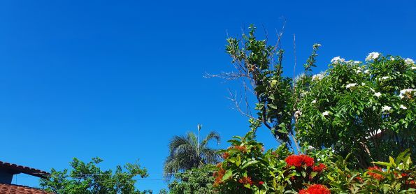 Céu com cara de inverno em Goiás