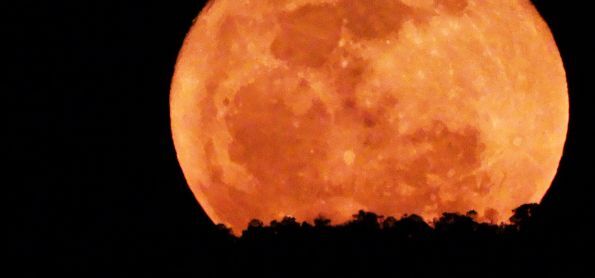 A LUA CHEIA EM PALMAS - TO
