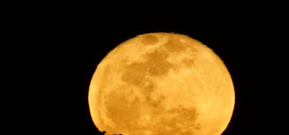LINDA NOITE DE LUA CHEIA EM PALMAS - TO