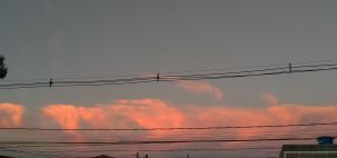 Nuvem vermelha no céu de Curitiba neste fim de tarde