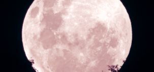 Superlua Rosa